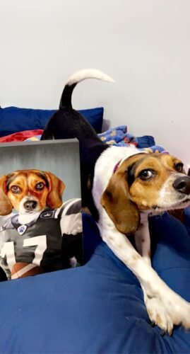 The Football Player photo review