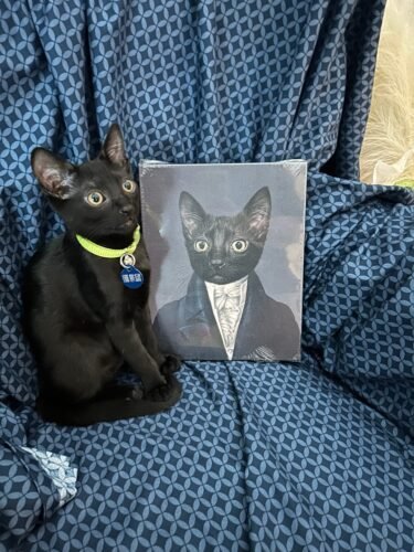 The Aristocrat photo review