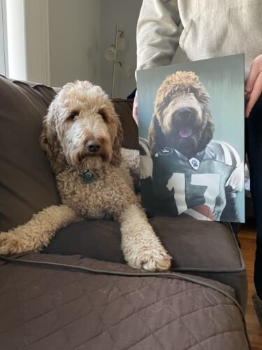 The Football Player photo review