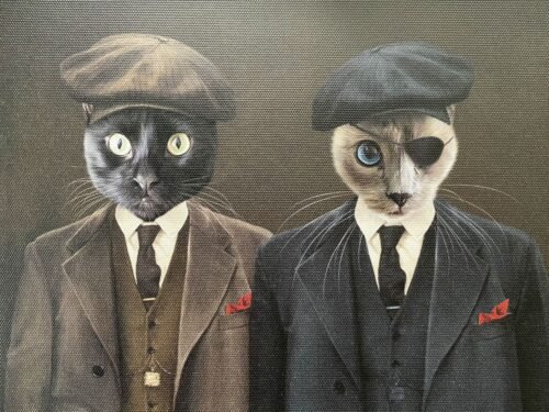 The Gangster Brothers photo review