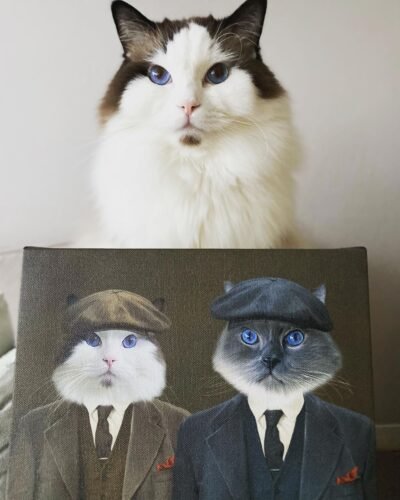 The Gangster Brothers photo review