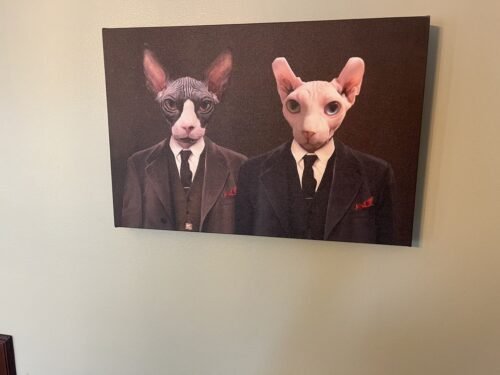 The Gangster Brothers photo review