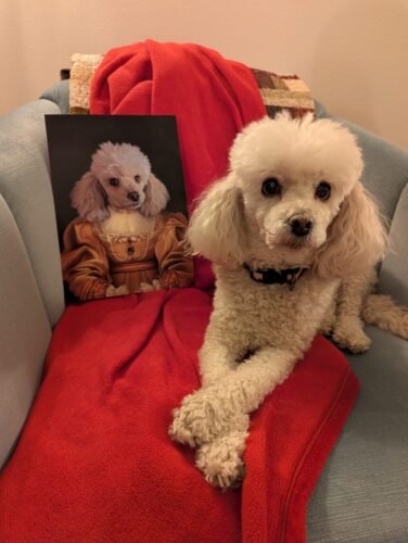 The Golden Girl photo review