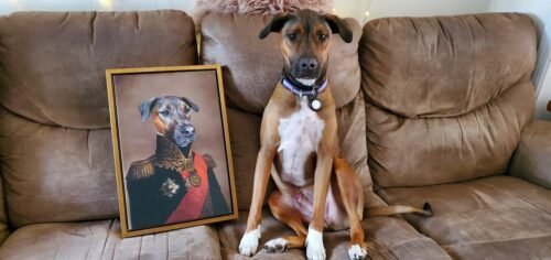 The Major photo review