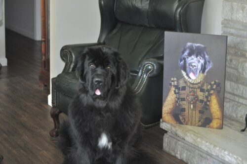 The Dame photo review