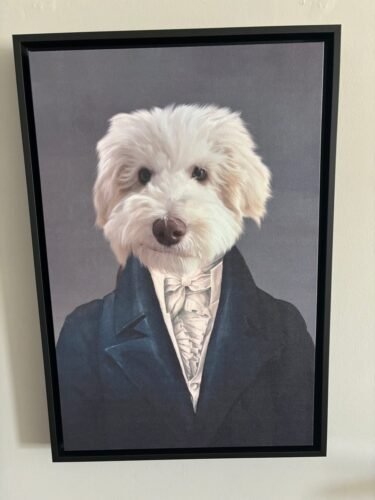 The Aristocrat photo review