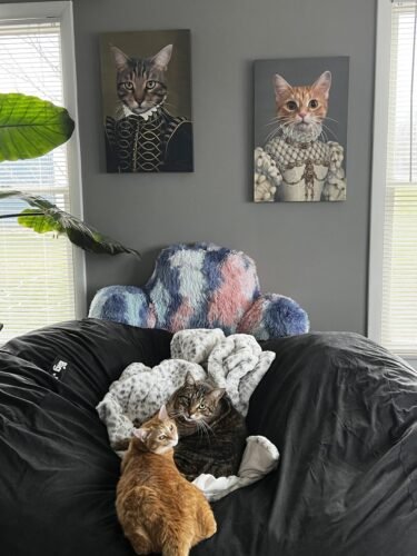 The Noble photo review