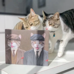 The Gangster Brothers