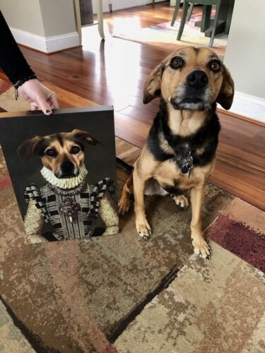 The Dame photo review