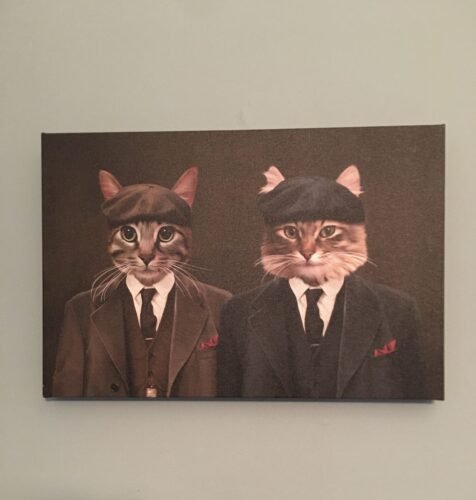 The Gangster Brothers photo review