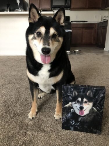 The King in the North photo review