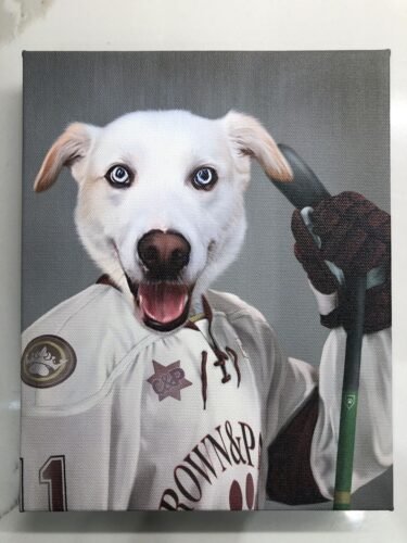 The Ice Hockey Player photo review