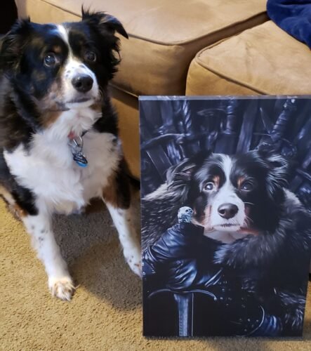 The King in the North photo review