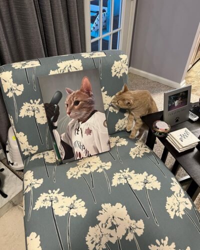 The Ice Hockey Player photo review