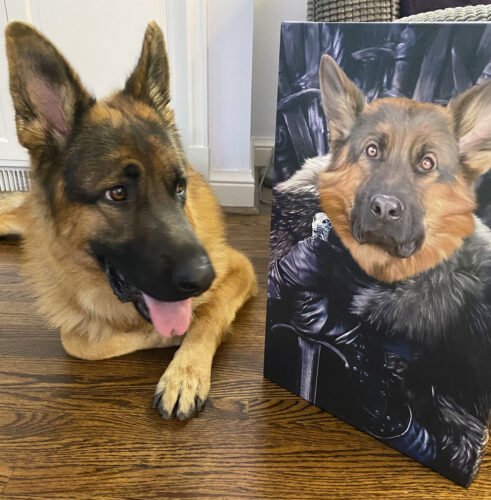 The King in the North photo review