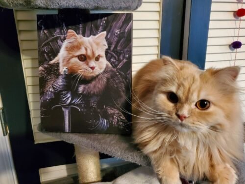 The King in the North photo review