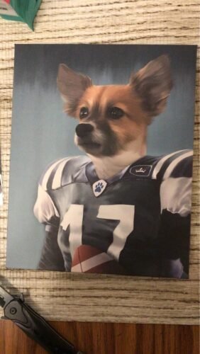 The Football Player photo review