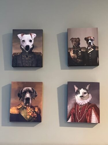 The Colonel photo review