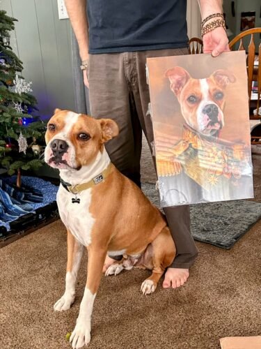 The Colonel photo review