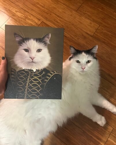 The Noble photo review