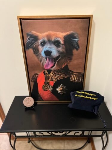 The Major photo review