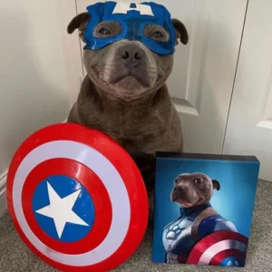 Captain Pawmerica