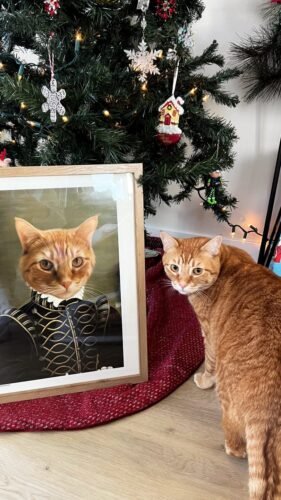 The Noble photo review