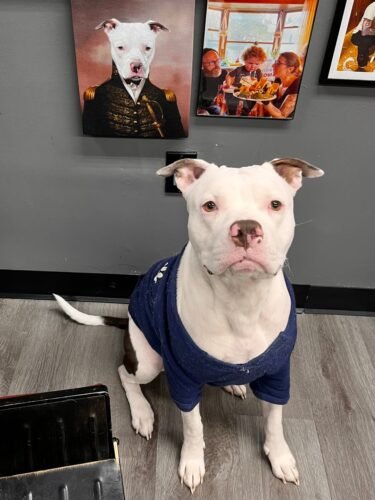 The General photo review