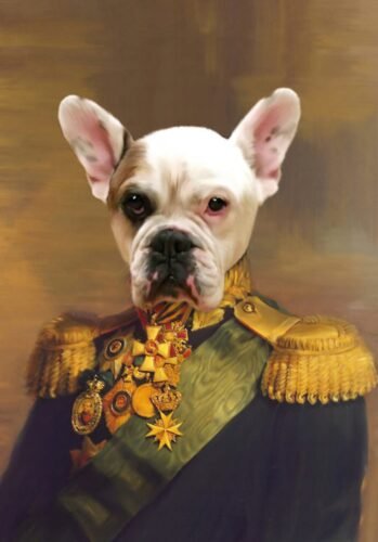 The Colonel photo review