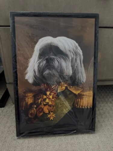 The Colonel photo review