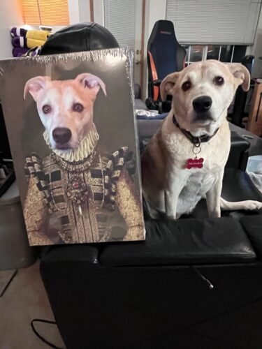 The Dame photo review