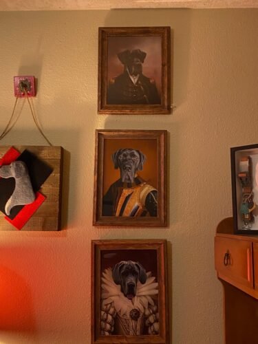 The General photo review