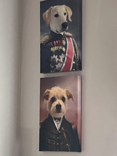 The General photo review