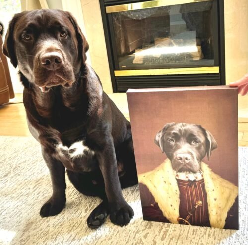 The Colonel photo review