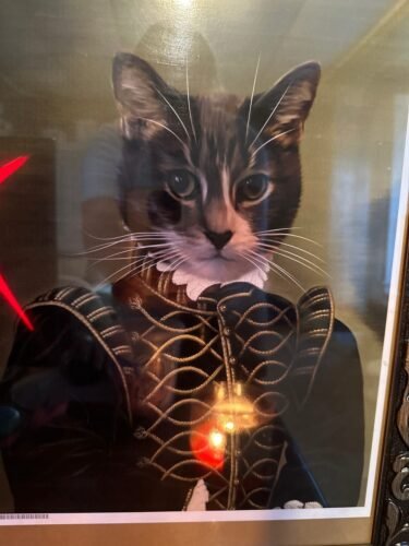 The Noble photo review