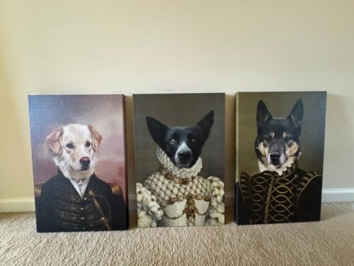 The General photo review