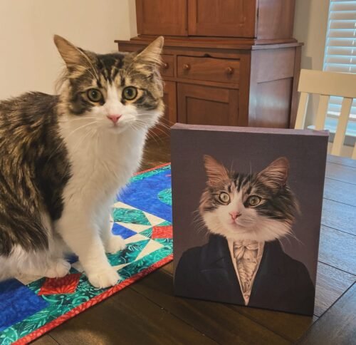 The Aristocrat photo review