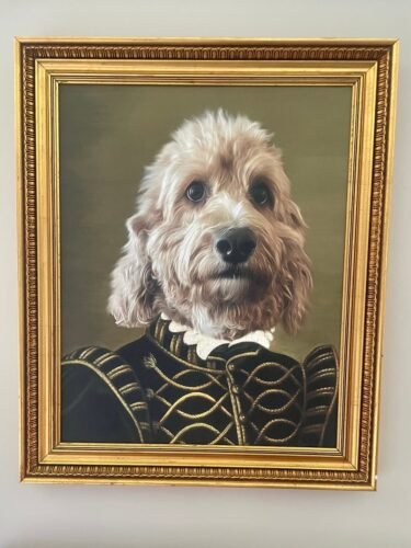 The Noble photo review