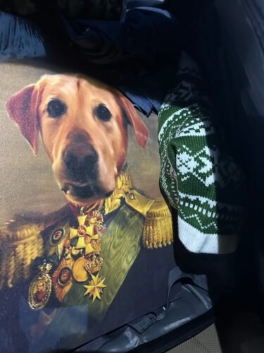 The Colonel photo review