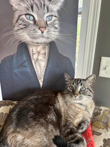 The Aristocrat photo review