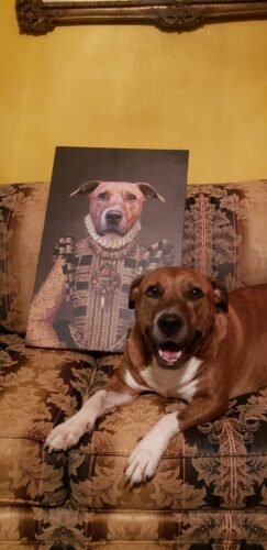 The Dame photo review