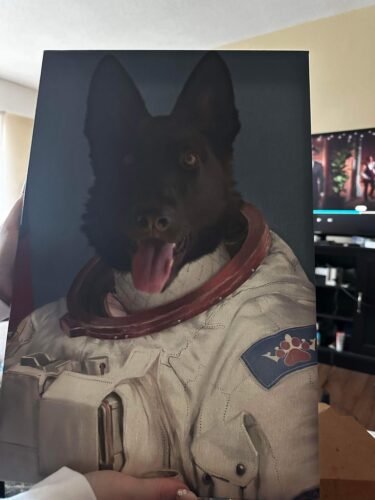 The Astronaut photo review