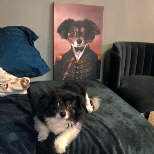 The General photo review