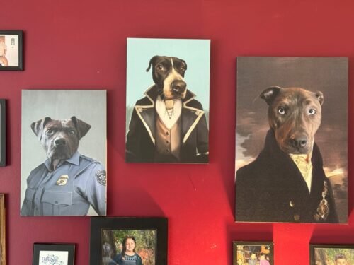 The Count photo review