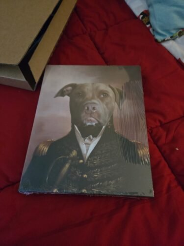 The General photo review