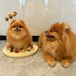 three dimensional whole body