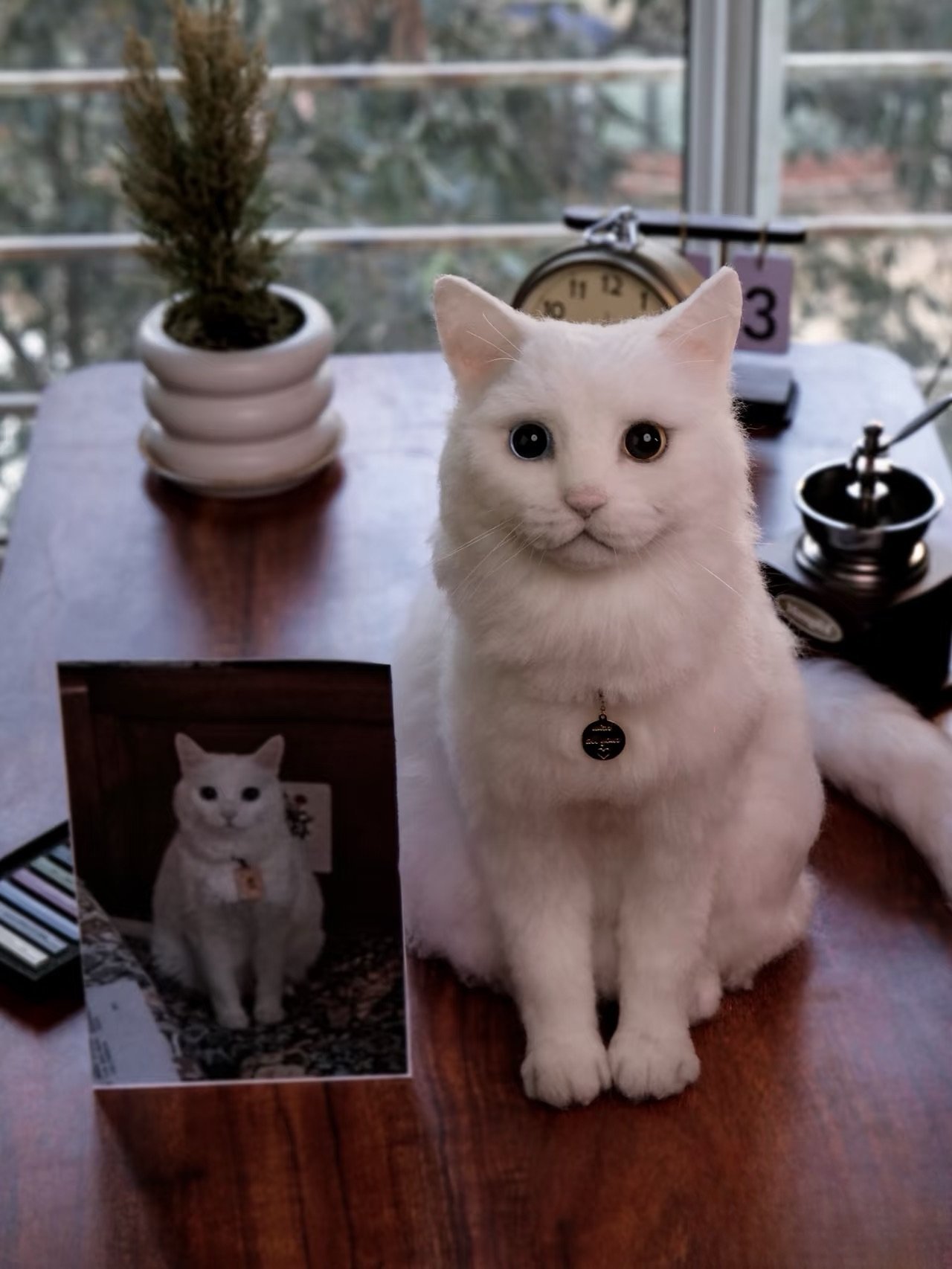 three dimensional whole body - Image 4