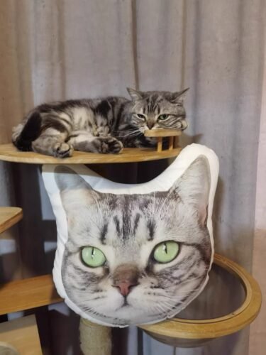 pillowcase photo review