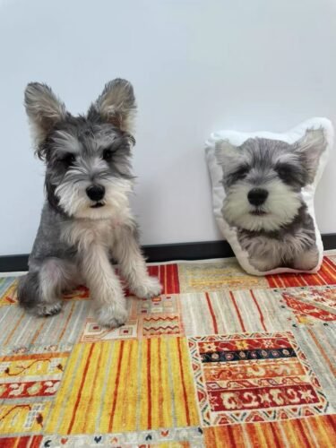 pillowcase photo review