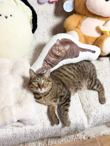 pillowcase photo review